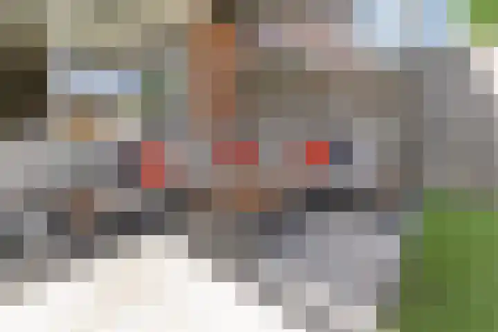 Katschiplaan 148 Den Haag thumbnail 16