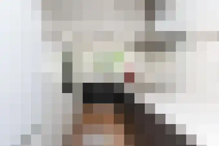 Katschiplaan 148 Den Haag thumbnail 27