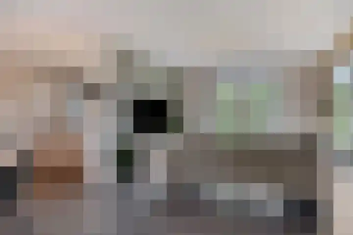 Katsestraat 26 Oeffelt thumbnail 18