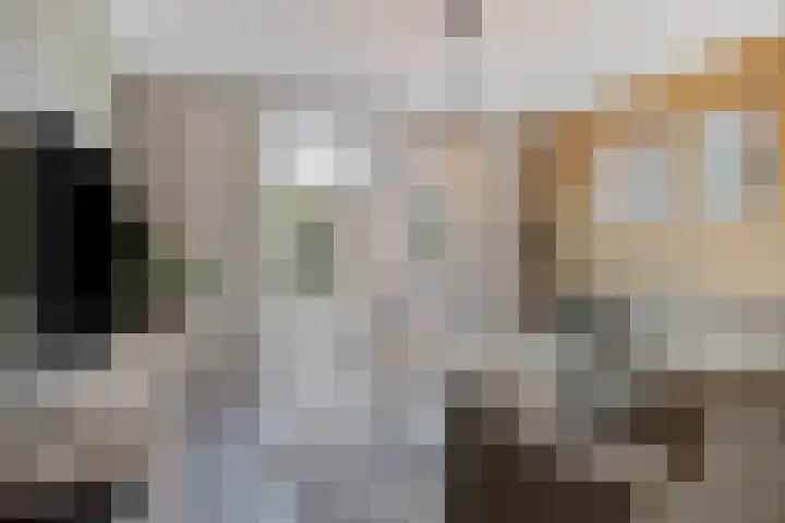 Katsestraat 26 Oeffelt thumbnail 20