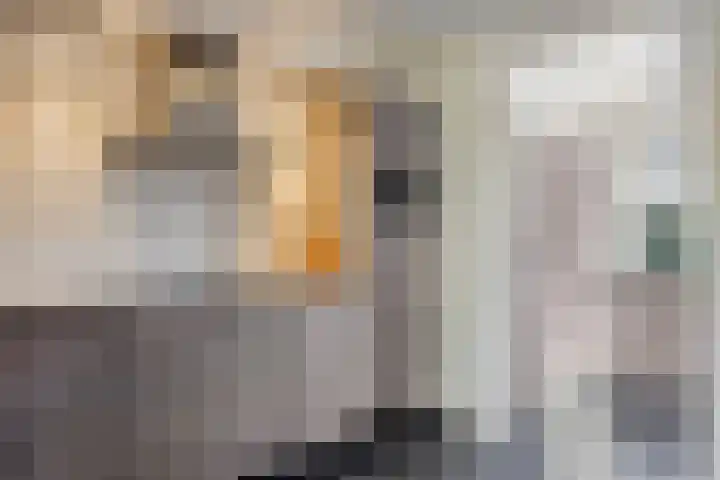 Katsestraat 31 Oeffelt thumbnail 16