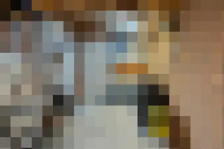 Katsestraat 31 Oeffelt thumbnail 20