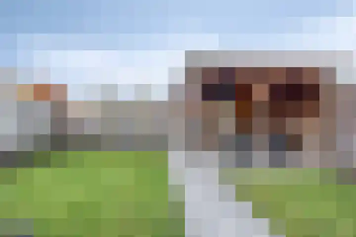 Katsestraat 31 Oeffelt thumbnail 24