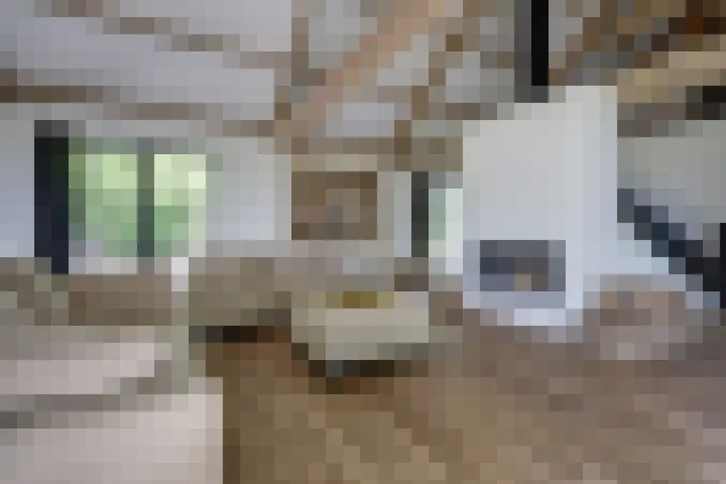 Katsven 3 Oeffelt thumbnail 20