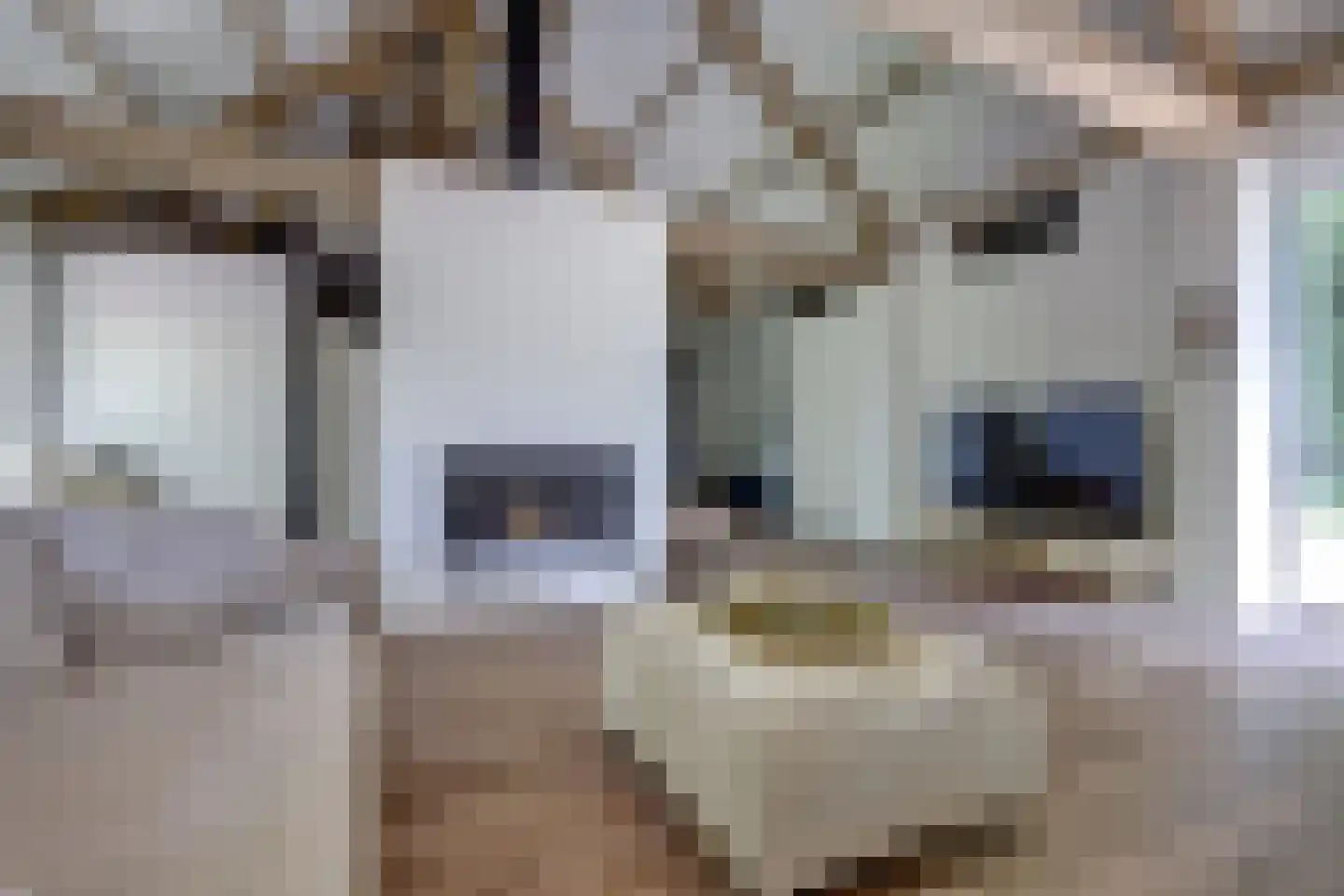 Katsven 3 Oeffelt thumbnail 21