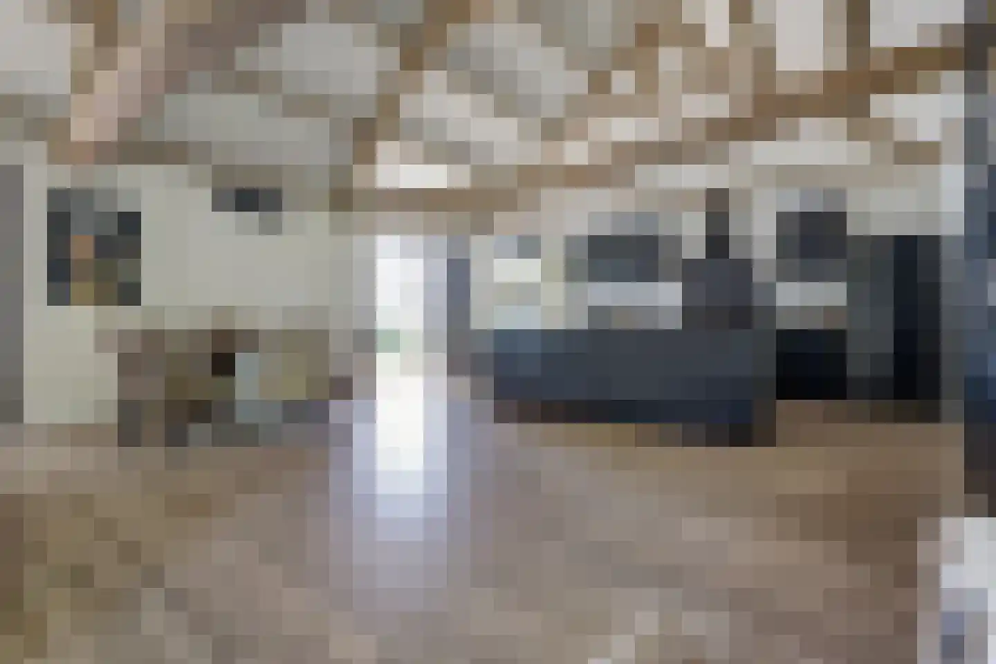 Katsven 3 Oeffelt thumbnail 23
