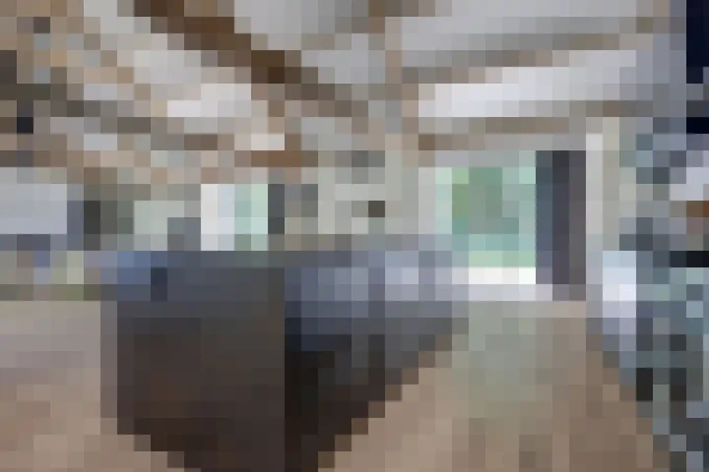 Katsven 3 Oeffelt thumbnail 25