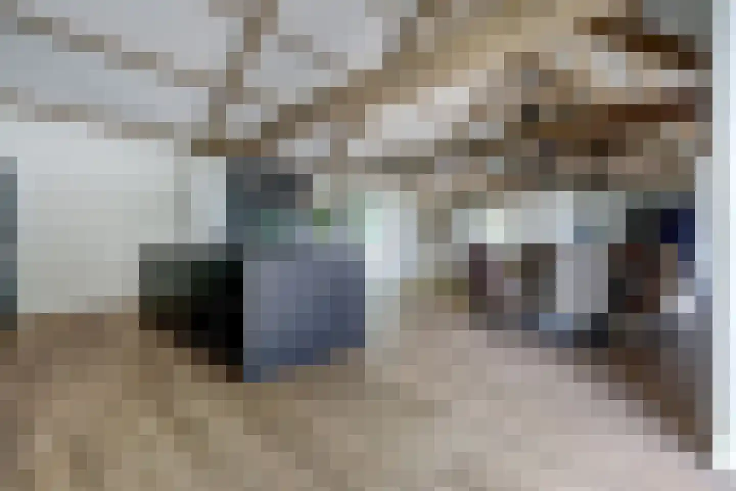 Katsven 3 Oeffelt thumbnail 27