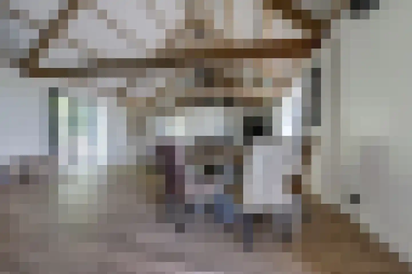 Katsven 3 Oeffelt thumbnail 29