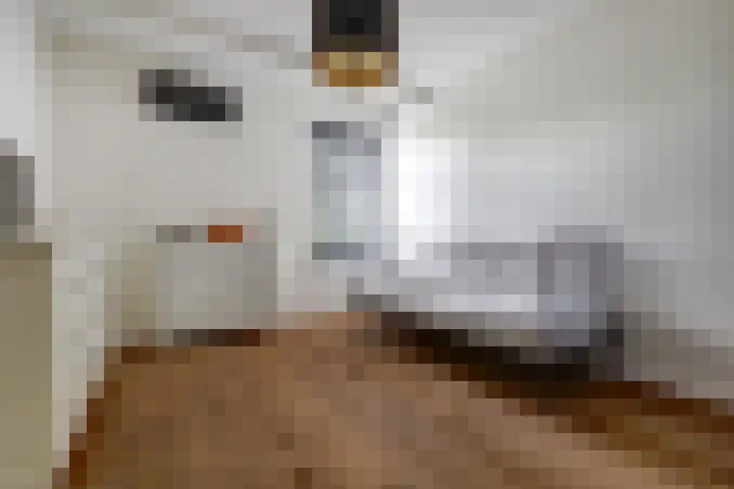 Katsven 3 Oeffelt thumbnail 34