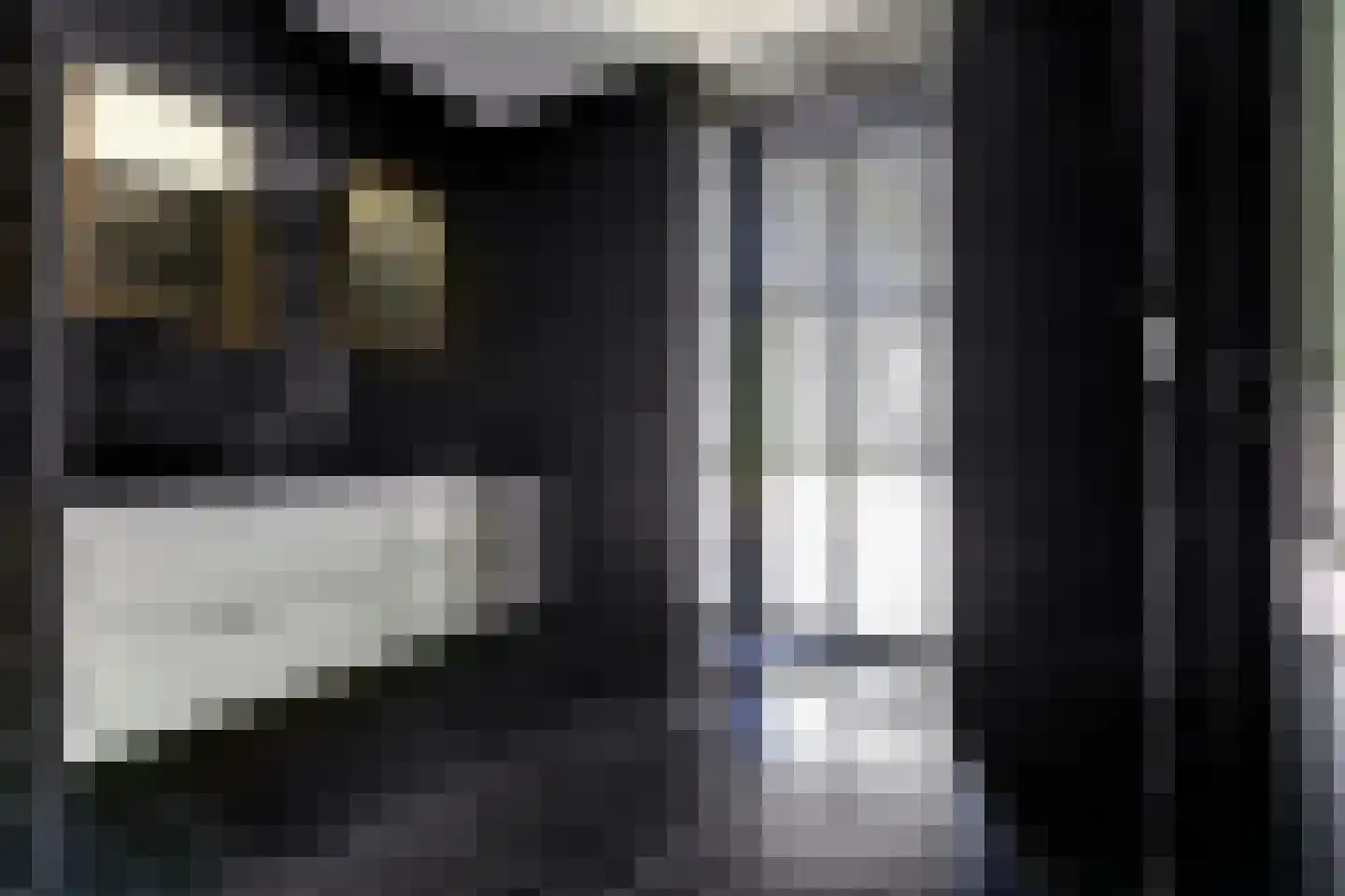 Katsven 3 Oeffelt thumbnail 37