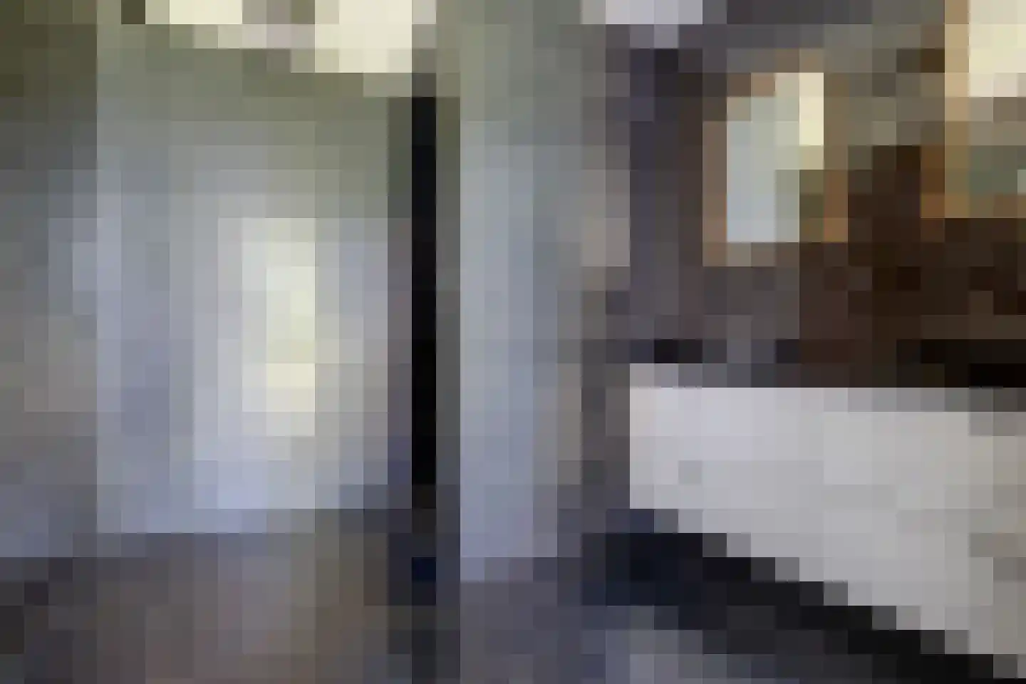 Katsven 3 Oeffelt thumbnail 38