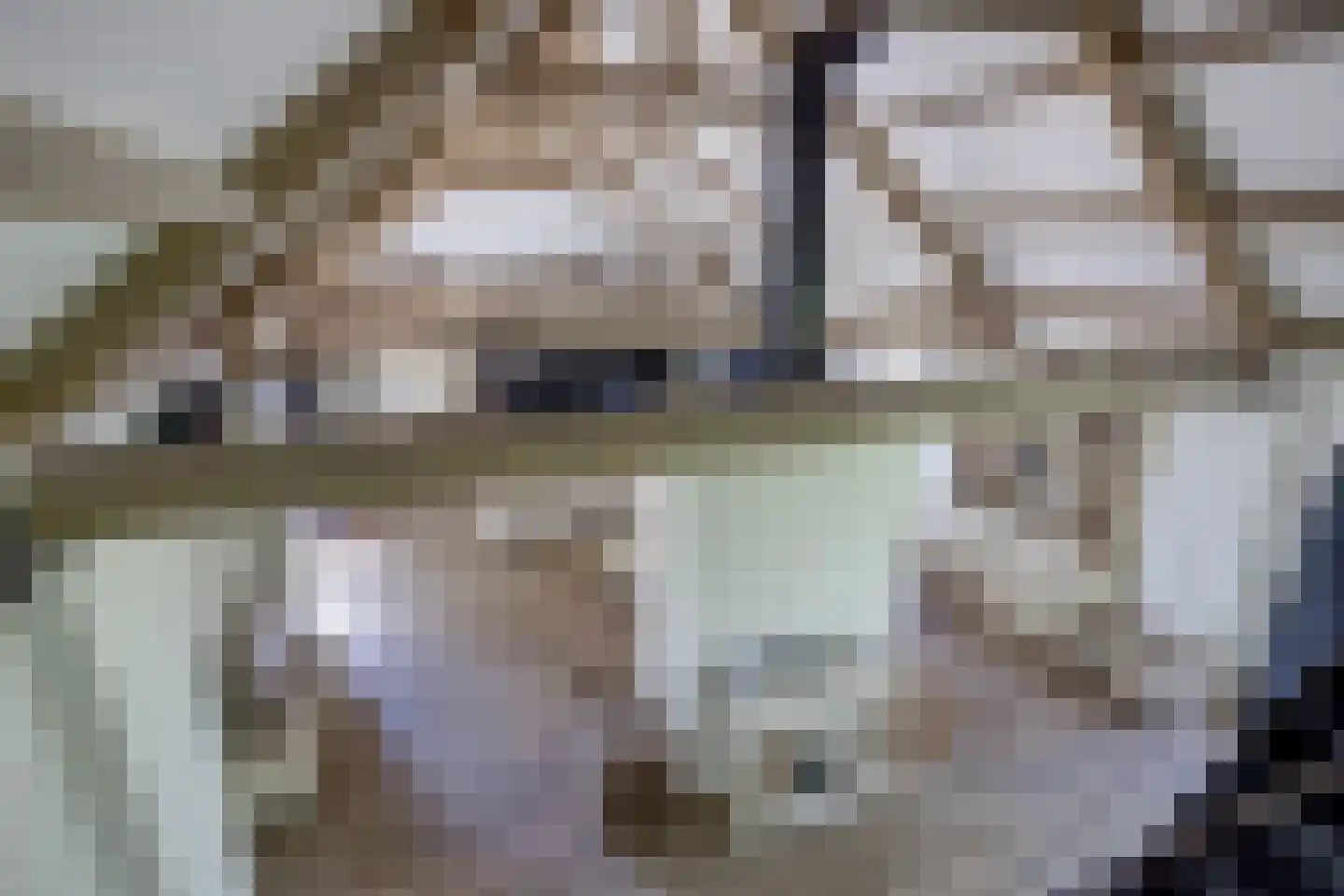 Katsven 3 Oeffelt thumbnail 45