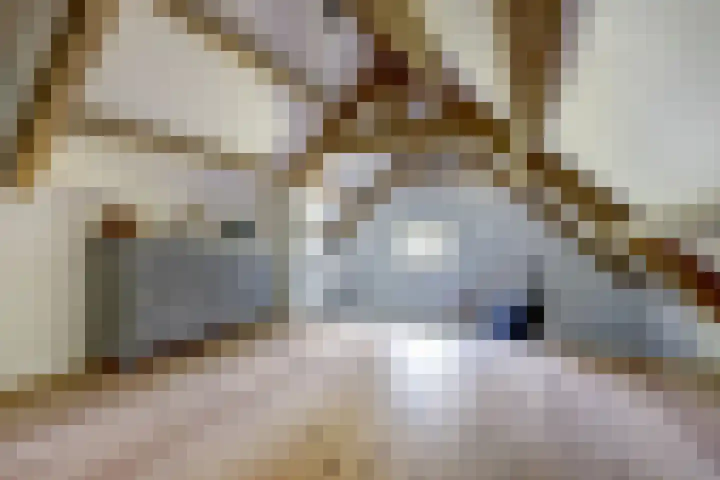 Katsven 3 Oeffelt thumbnail 48