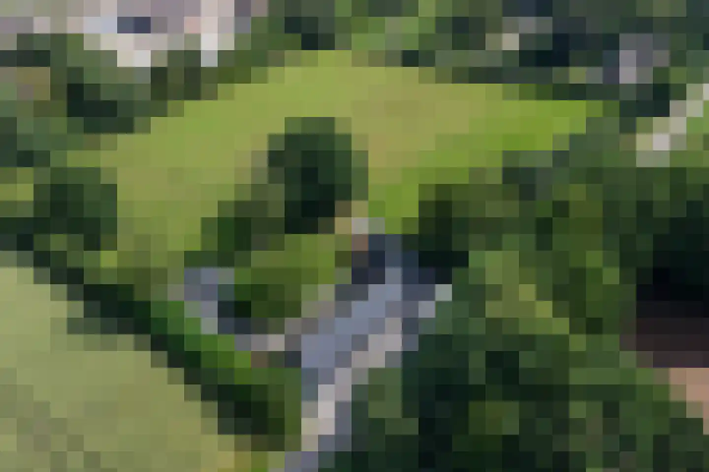 Katsven 3 Oeffelt thumbnail 5