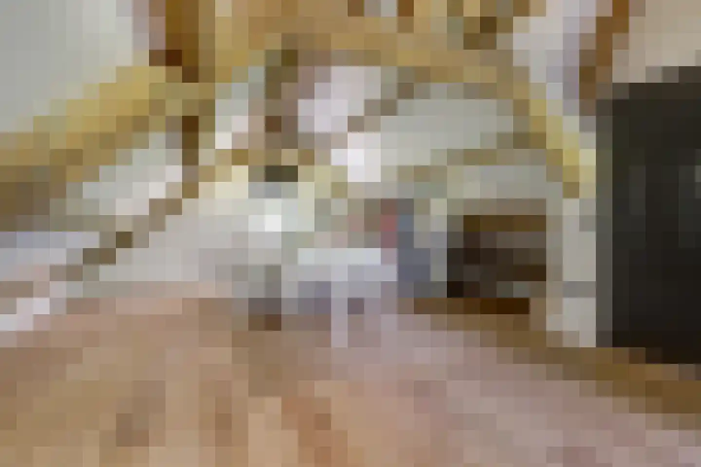 Katsven 3 Oeffelt thumbnail 51