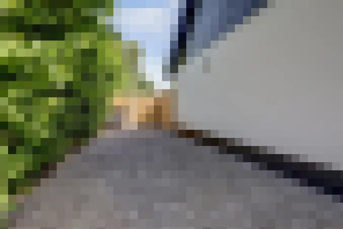 Katsven 3 Oeffelt thumbnail 58