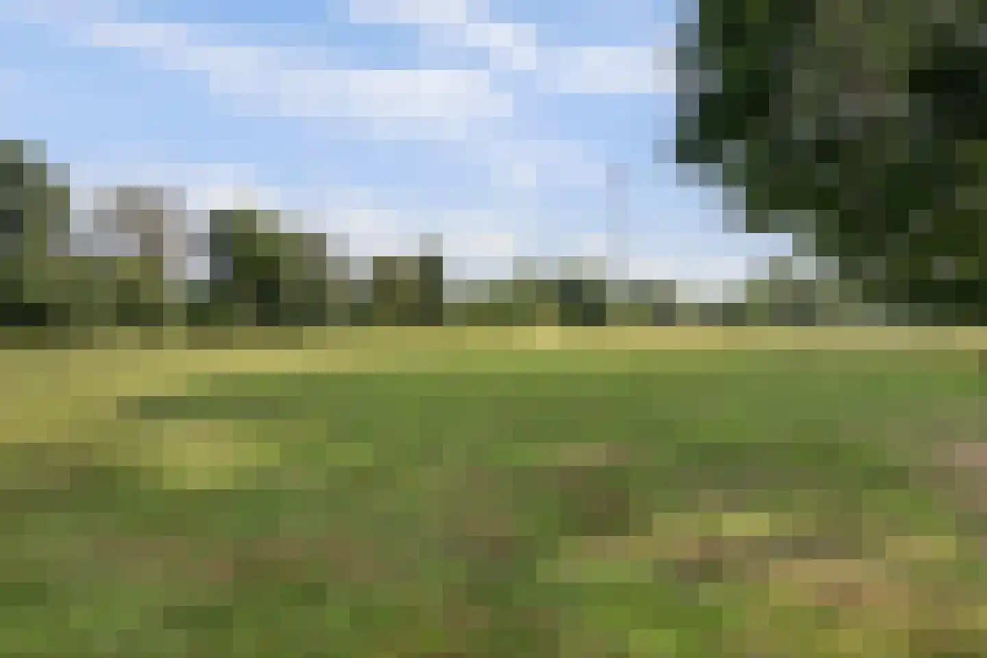 Katsven 3 Oeffelt thumbnail 61