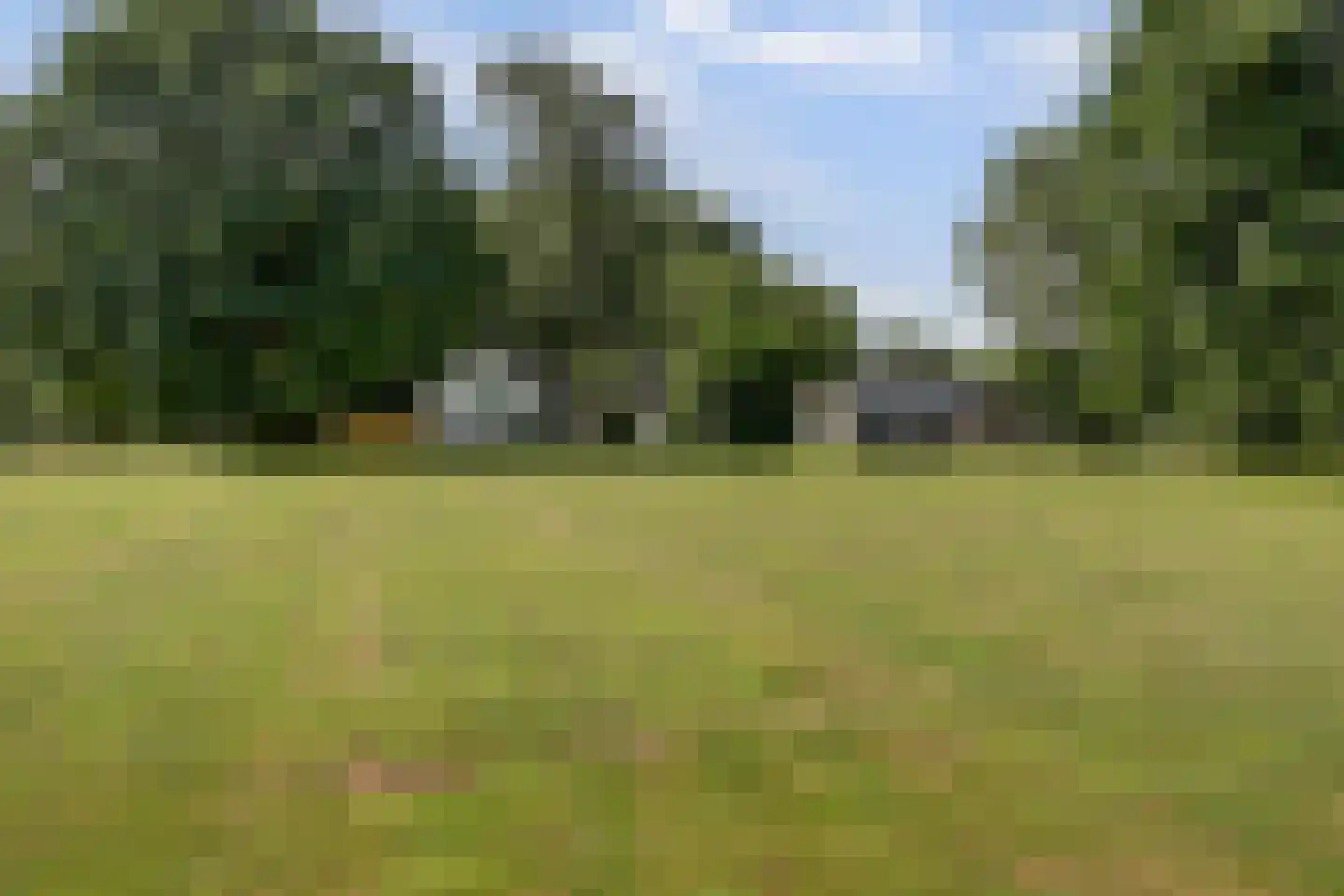 Katsven 3 Oeffelt thumbnail 63