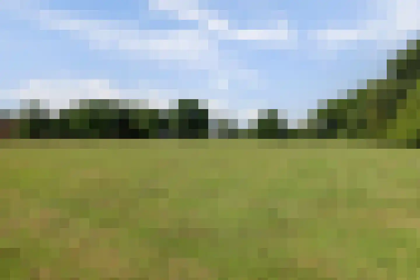 Katsven 3 Oeffelt thumbnail 64
