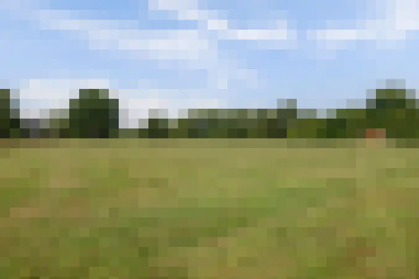 Katsven 3 Oeffelt thumbnail 65
