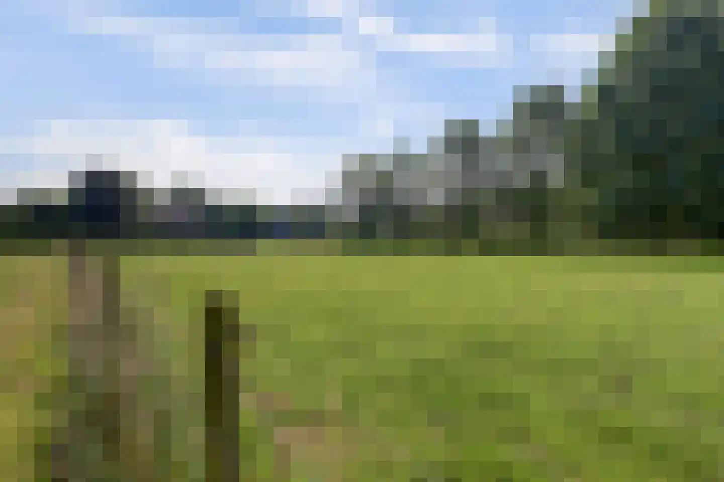 Katsven 3 Oeffelt thumbnail 66