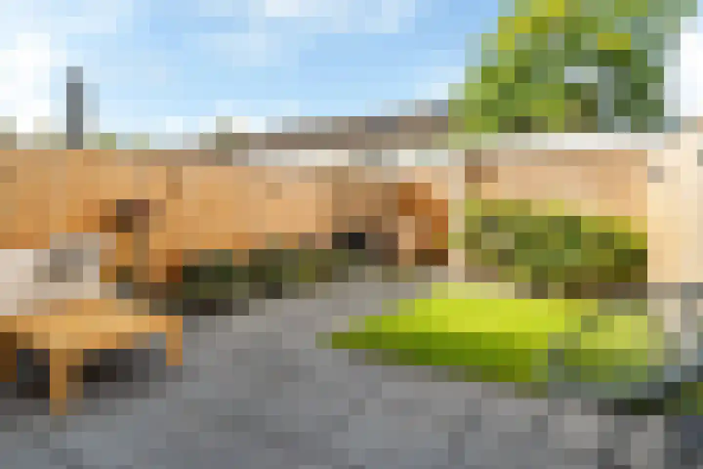 Kattebos 104 Heerenveen thumbnail 6
