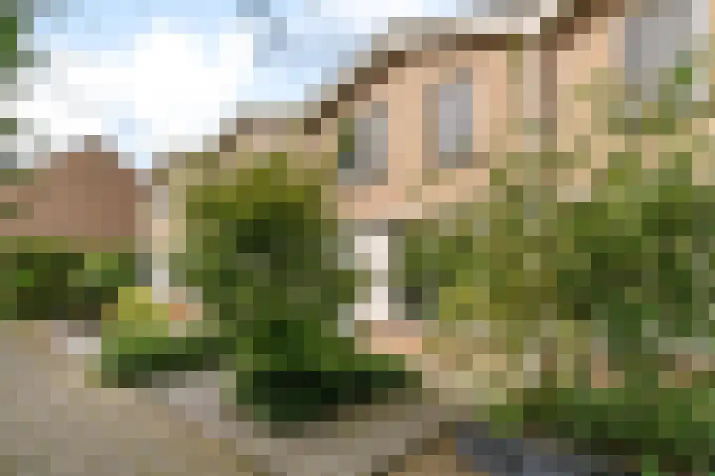 Kattebos 104 Heerenveen thumbnail 8