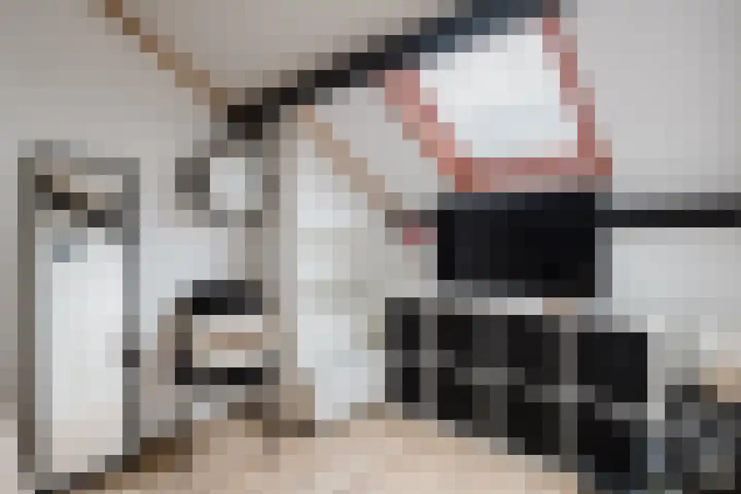 Kattebos 66 Heerenveen thumbnail 38