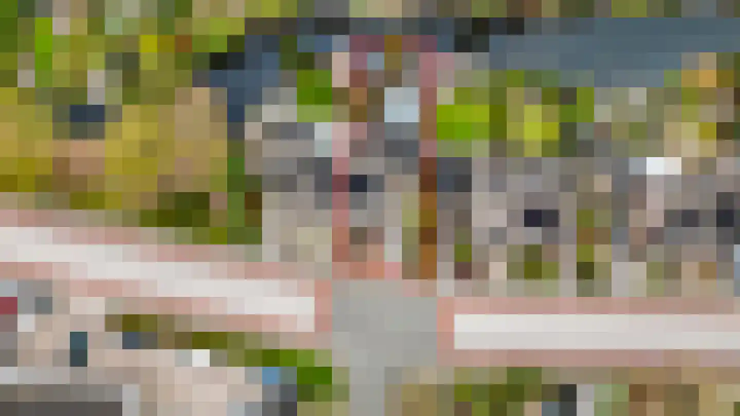 Kattebos 75 Heerenveen thumbnail 4
