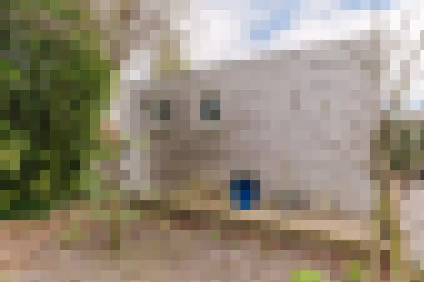 Kattebos 75 Heerenveen thumbnail 58