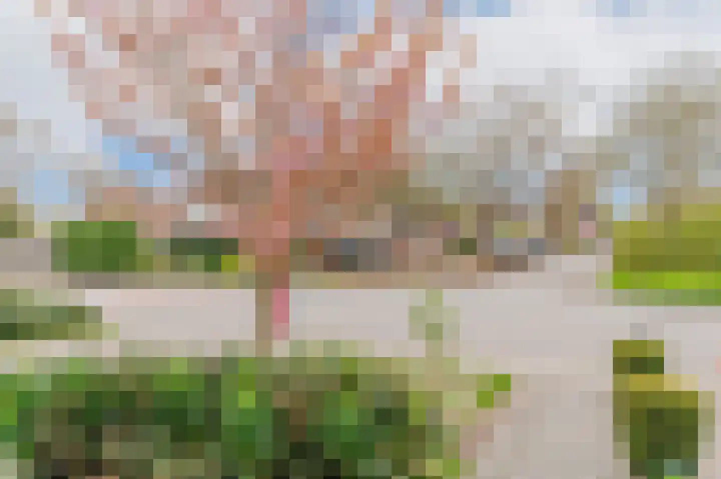 Kattebos 75 Heerenveen thumbnail 63