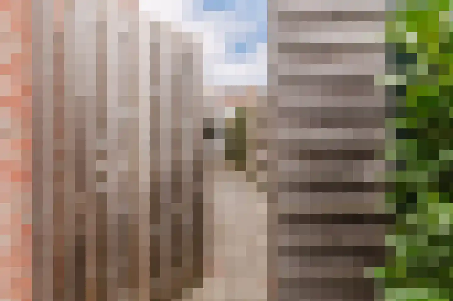 Kattebos 75 Heerenveen thumbnail 65