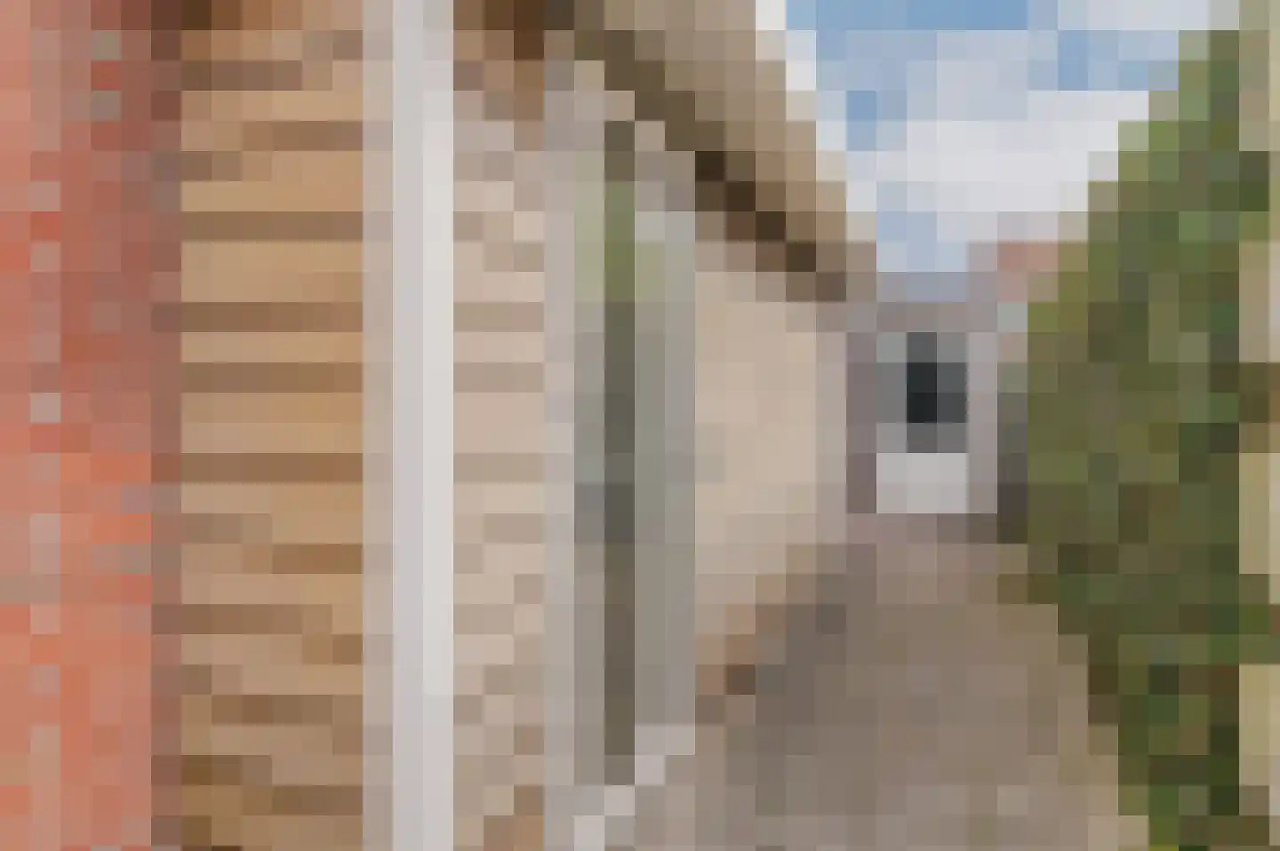 Kattebos 75 Heerenveen thumbnail 66