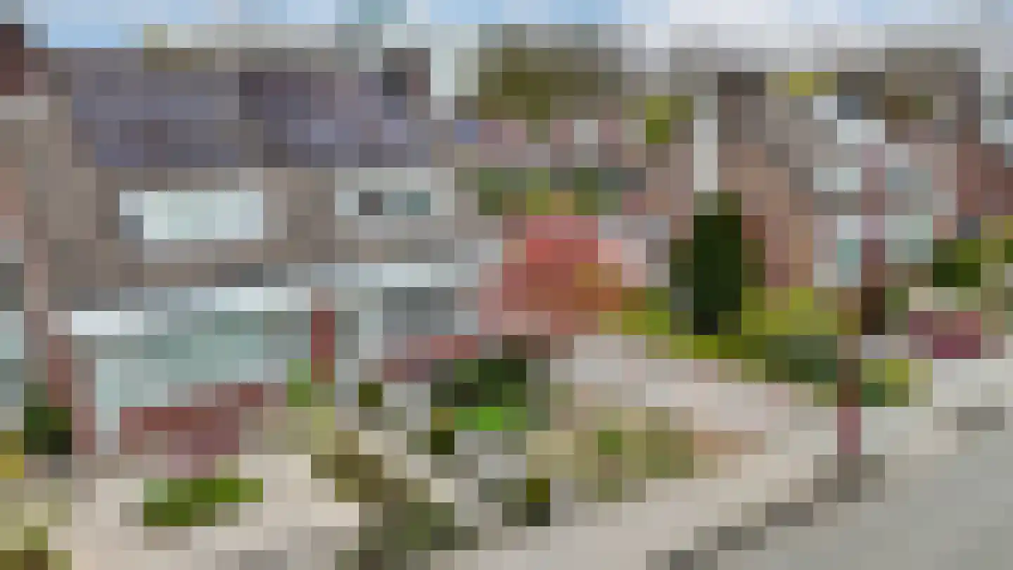 Kattebos 75 Heerenveen thumbnail 68