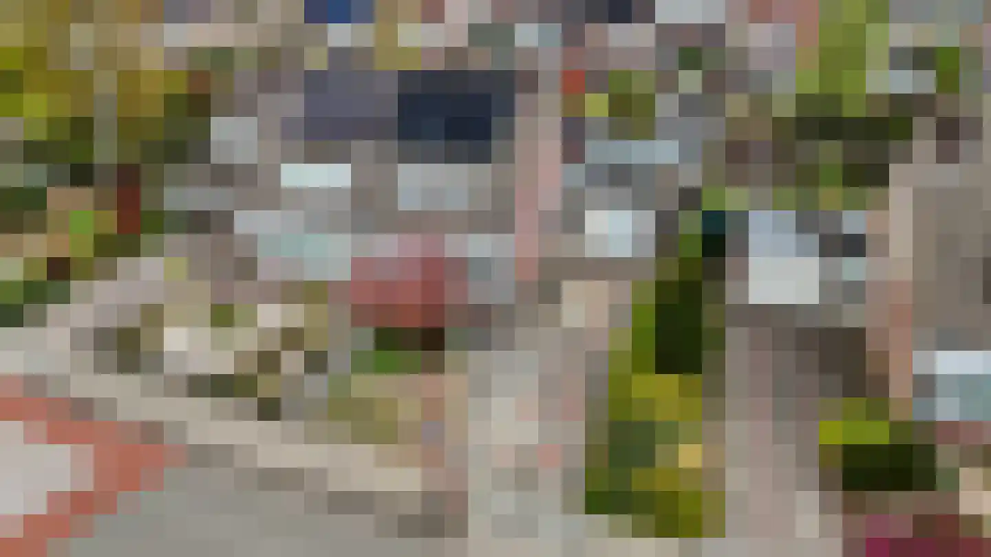 Kattebos 75 Heerenveen thumbnail 69