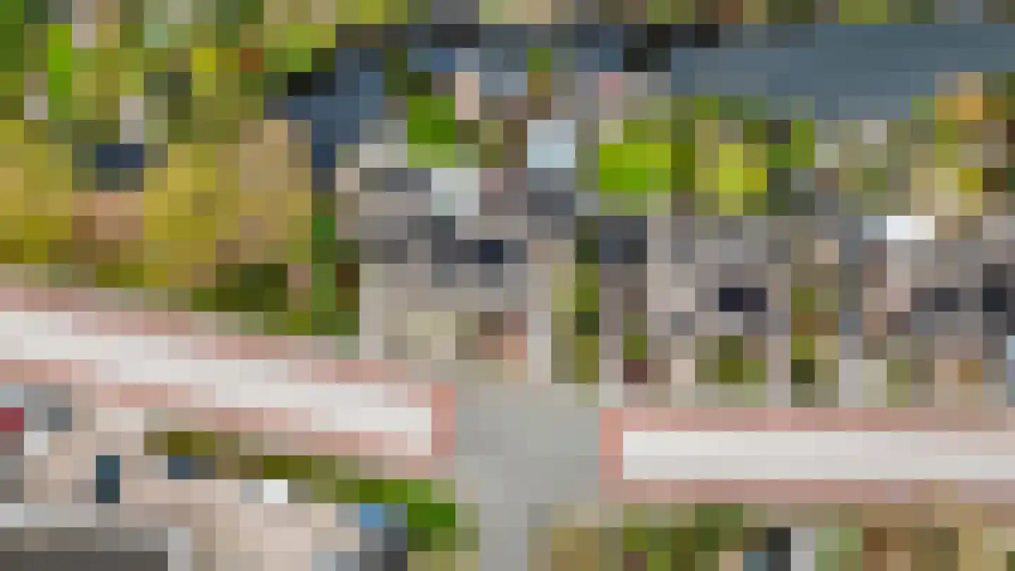 Kattebos 75 Heerenveen thumbnail 70