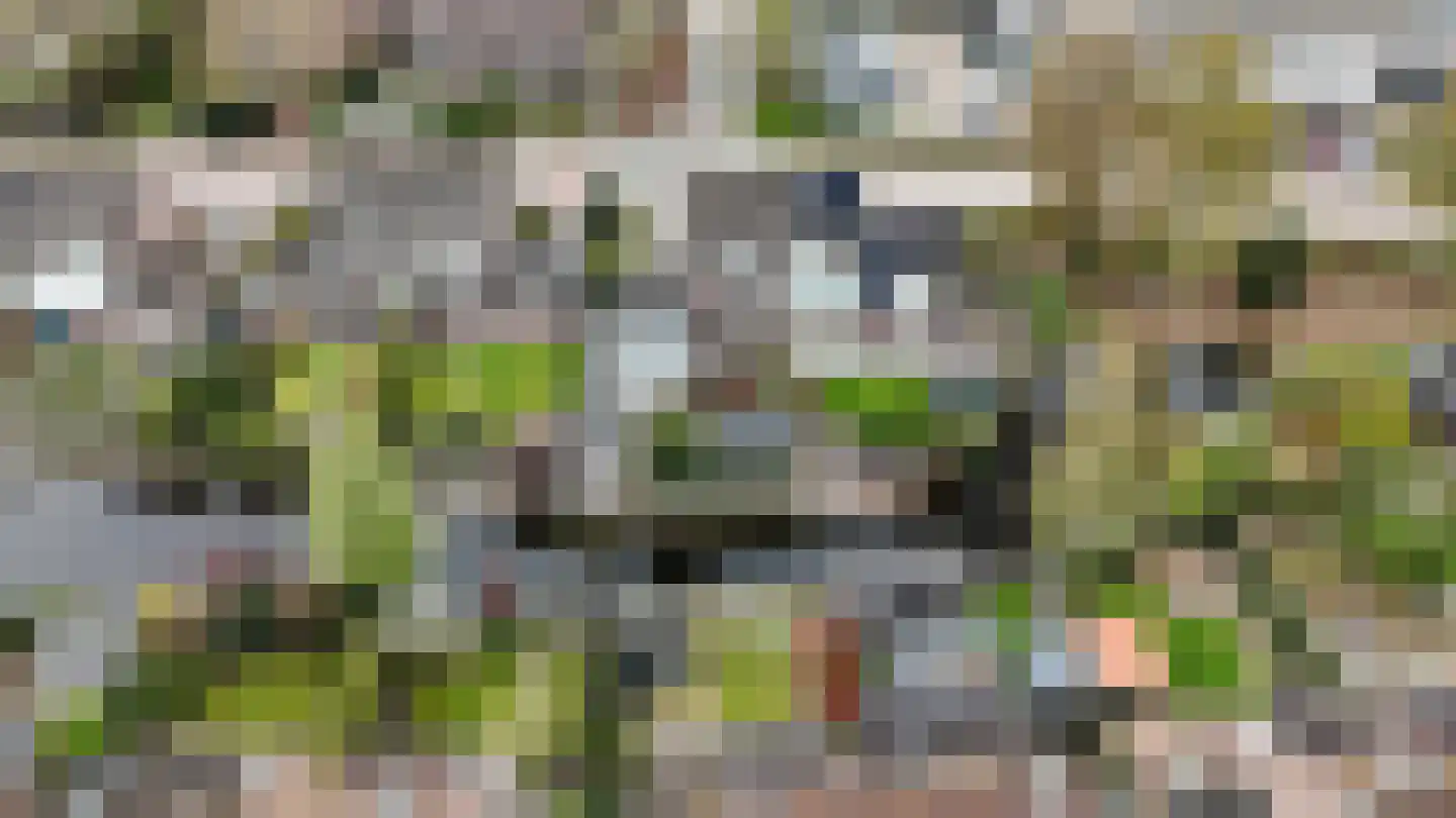 Kattebos 75 Heerenveen thumbnail 71