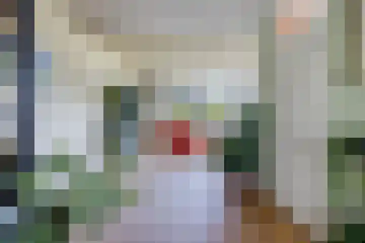Kattebos 88 Heerenveen thumbnail 11