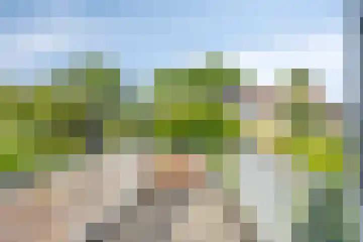 Kattebos 88 Heerenveen thumbnail 22