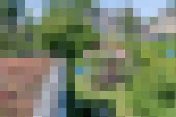 Kattebos 88 Heerenveen thumbnail 23