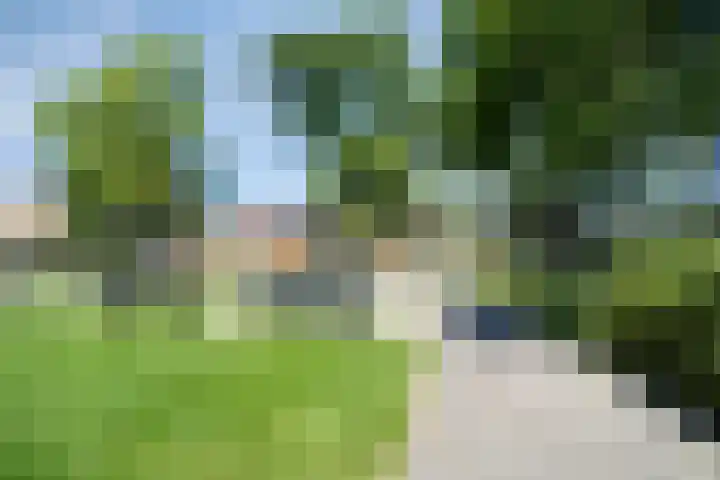 Kattebos 88 Heerenveen thumbnail 32