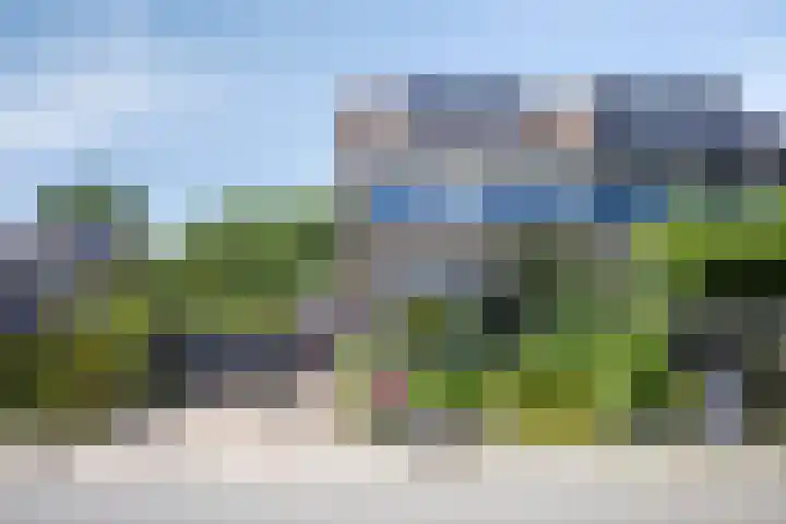 Kattebos 88 Heerenveen thumbnail 5