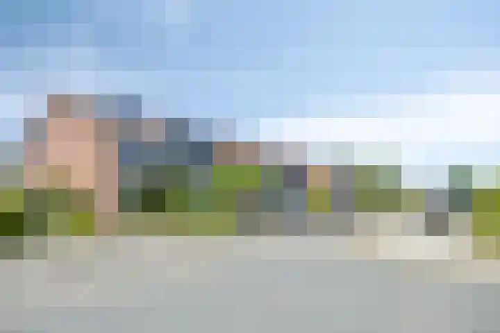 Kattebos 88 Heerenveen thumbnail 6