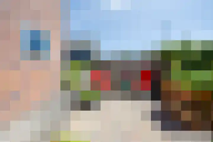 Kattebos 88 Heerenveen thumbnail 7