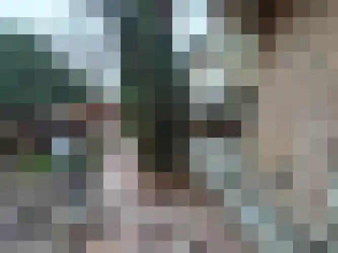 Kattedoorn 66 Cuijk thumbnail 12