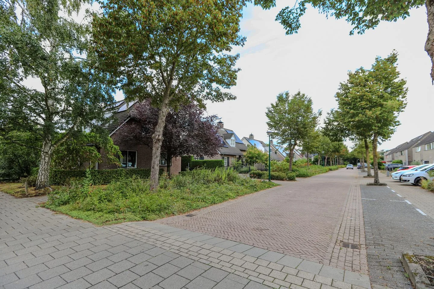 Kattedoorn 66 Cuijk thumbnail 40