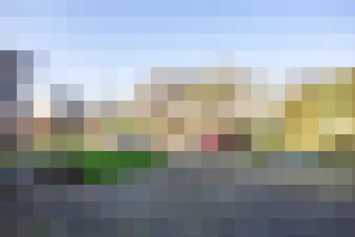 Kattedoorn 66 Cuijk thumbnail 49
