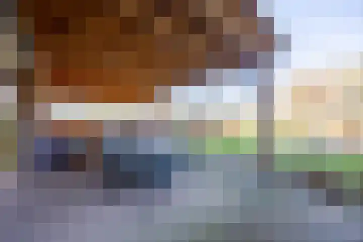 Kattedoorn 66 Cuijk thumbnail 51