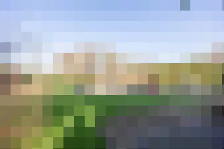 Kattedoorn 66 Cuijk thumbnail 53